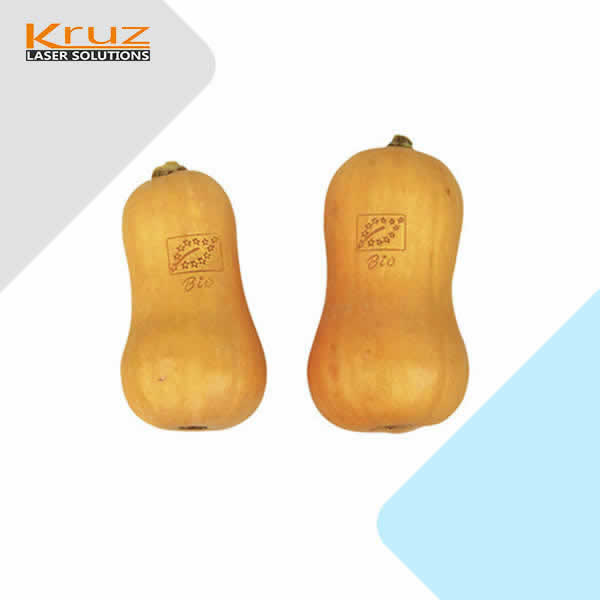 Food fruit laser marking